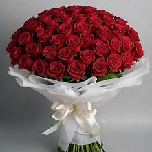 Букет 101 Красная роза Блэк Мэджик в Дмитровский Погост
