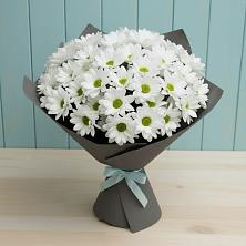 Букет цветов из:  Хризантемы в Дмитровский Погост
