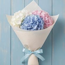 Букет цветов из:  Гортензия в Дмитровский Погост