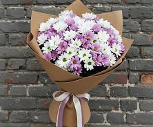 Букет цветов из:  Хризантемы #REPLACE_PRED# Дмитровский Погост