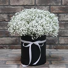 Цветочная композиция из Гипсофила в шляпной коробке в Дмитровский Погост