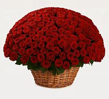 Премиум букет из: Розы #REPLACE_PRED# Дмитровский Погост