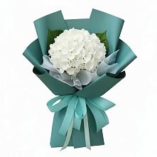 Букет цветов из:  Гортензия в Дмитровский Погост